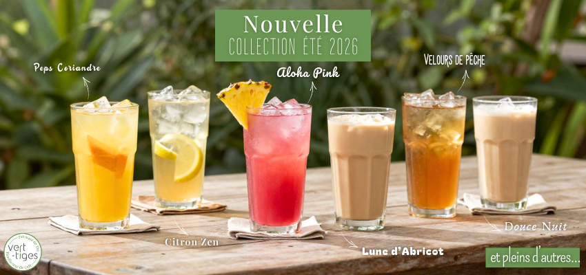 Nouveaut&eacute;s collection &eacute;t&eacute;